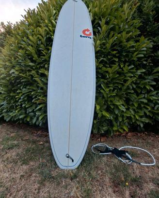 Funboard Torq 64 litri