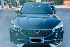 Splendida Formentor 204CV