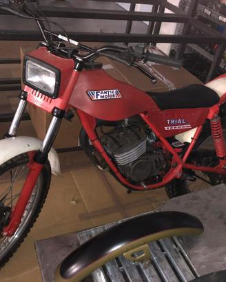 trial fantic