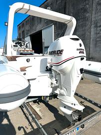 Motore Evinrude E-TEC 200 CV tenuto maniacalmente