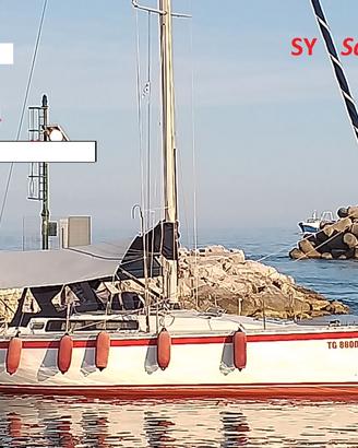 CANADOS 37 "Satanasso"