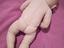 Immagine 2