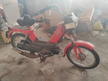 New dribbling malaguti