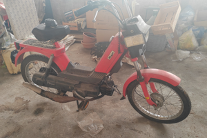 New dribbling malaguti