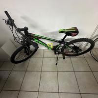 Mountain bike