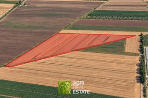 Terreno agricolo di 3 ettari pianeggiante