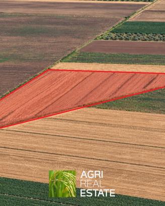 Terreno agricolo di 3 ettari pianeggiante