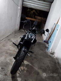 Harley Davidson 883 iron xl