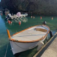 Barca a motore