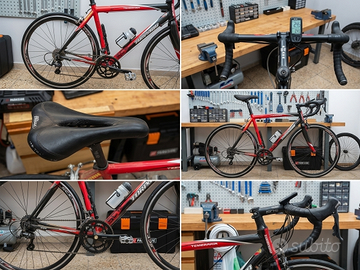 Torpado Temeraria bici corsa