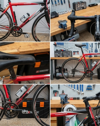 Torpado Temeraria bici corsa