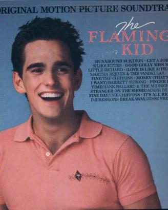 Colonna Sonora - The Flamingo Kid