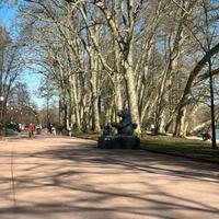 Giovane Automunito tuttofare Brescia e provincia