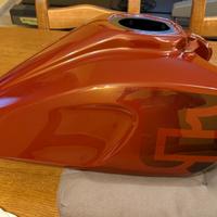 Harley Davidson Pan America Serbatoio