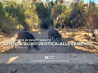 Azienda Agrituristica -Allevamento - ID.11734