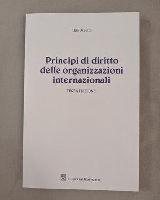 Principi di diritto delle organizzazioni internaz