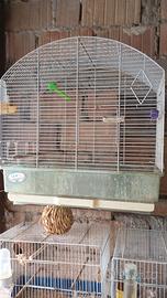 gabbia uccelli 