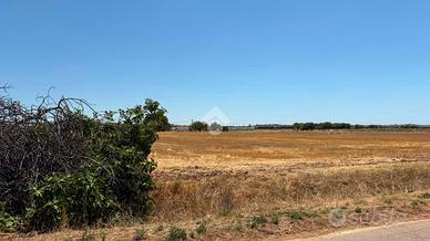 TER. AGRICOLO A GROTTAGLIE