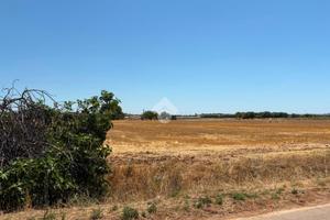 TER. AGRICOLO A GROTTAGLIE