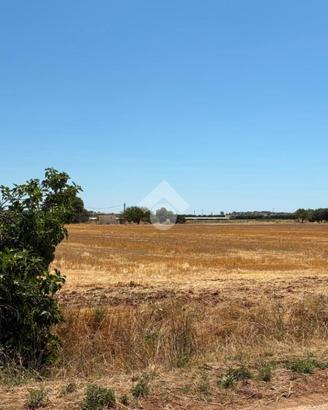 TER. AGRICOLO A GROTTAGLIE