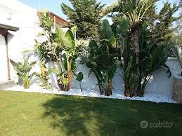 Appartamento esclusivo con ampio giardino privato