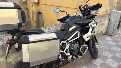 Tiger 1200 rally pro