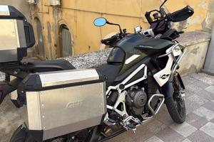 Tiger 1200 rally pro