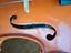 Immagine 4