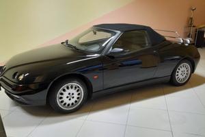 alfa romeo gtv spider
