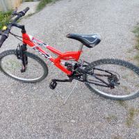 Bici ragazzo 8/10 anni