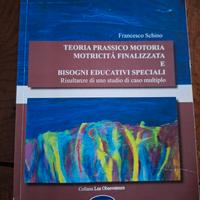 Teoria prassico motoria 