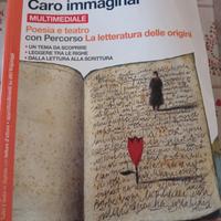 Caro Immaginar