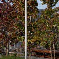 Lampioni giardino led