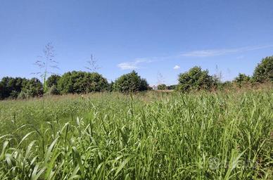 Immobile in asta di 6804 m² a Pojana Maggiore