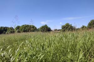 Immobile in asta di 6804 m² a Pojana Maggiore