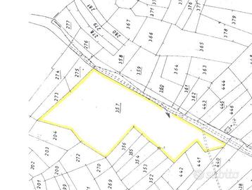 Terreno Agricolo Trontano [81319VCG]