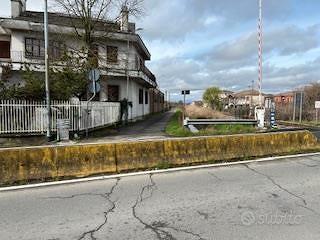 RGE 439/2024 Trib Pavia