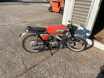 Moto beta camoscio 50