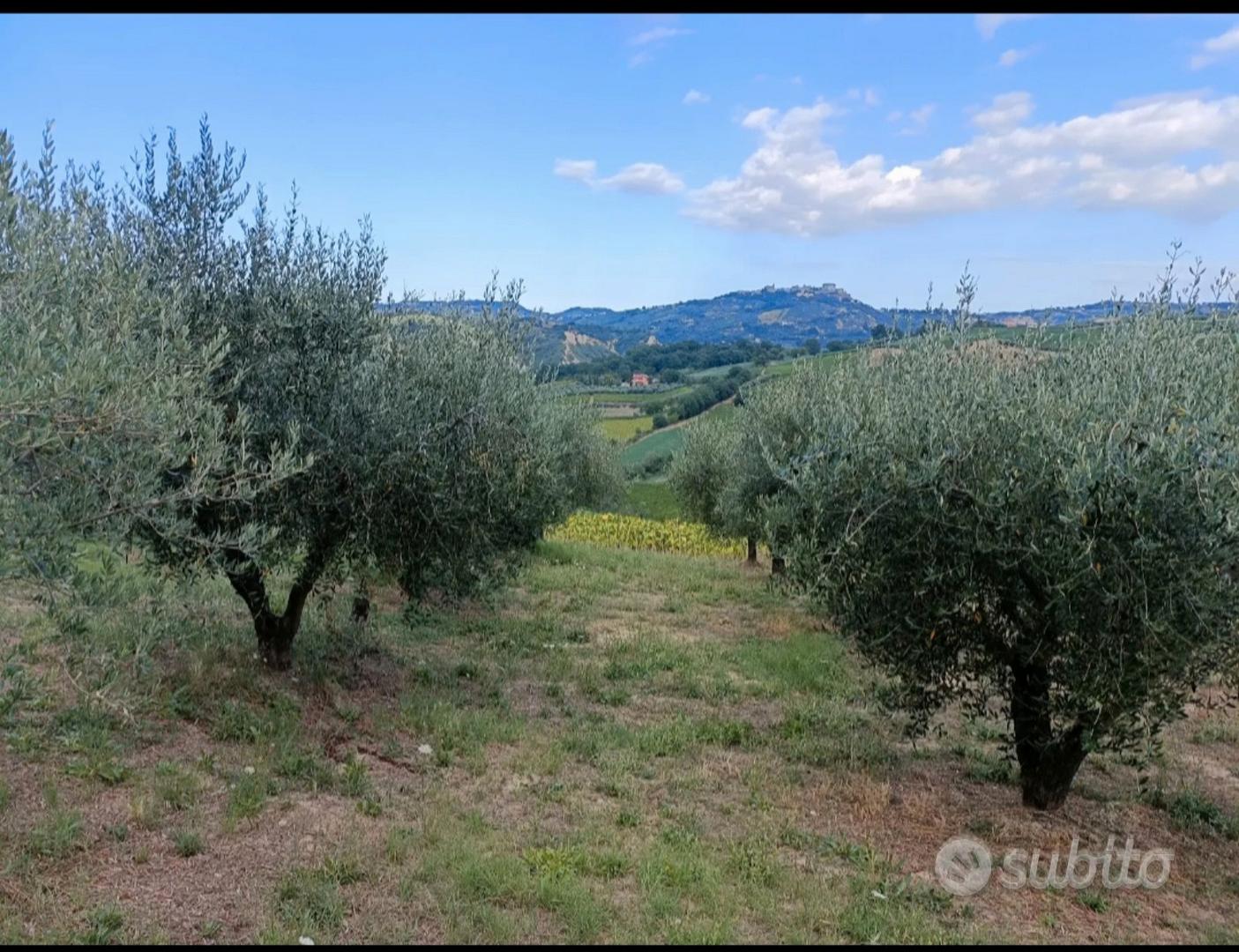 Terreno agricolo - Vista 2