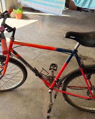 bici mountainbike