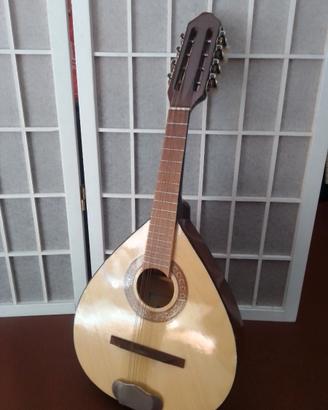 Mandolino moderno