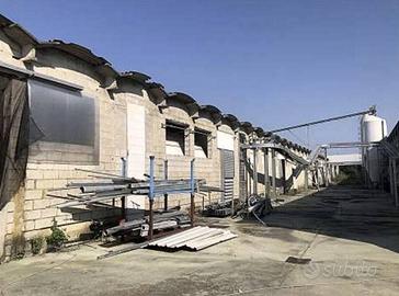 Immobile in asta di 10281 m² a Cittadella