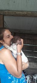 cuccioli da tartufo
