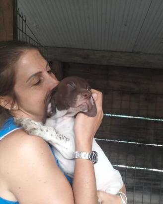 cuccioli da tartufo