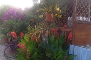 Casa mobile Sun Roller mt 8x3