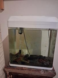 Acquario 30 L pari al nuovo