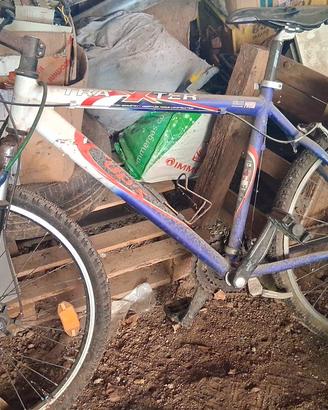 bicicletta 26