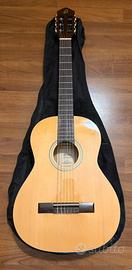 Chitarra acustica