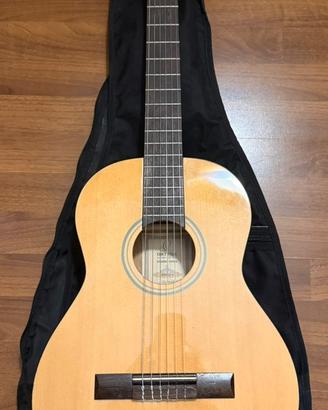 Chitarra acustica