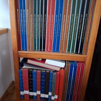 Raccolta francobolli